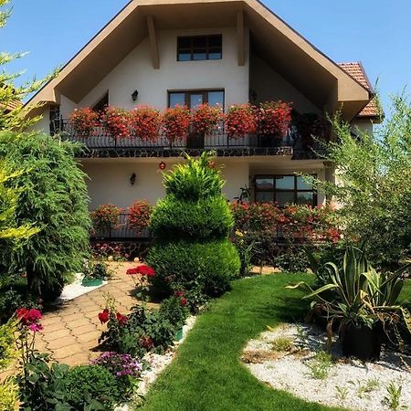 Casa Mona Villa Oradea Eksteriør billede